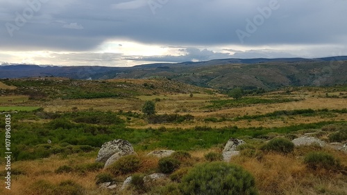 Les pelouses d'altitude de la montagne du Bougès, face au mont Lozère