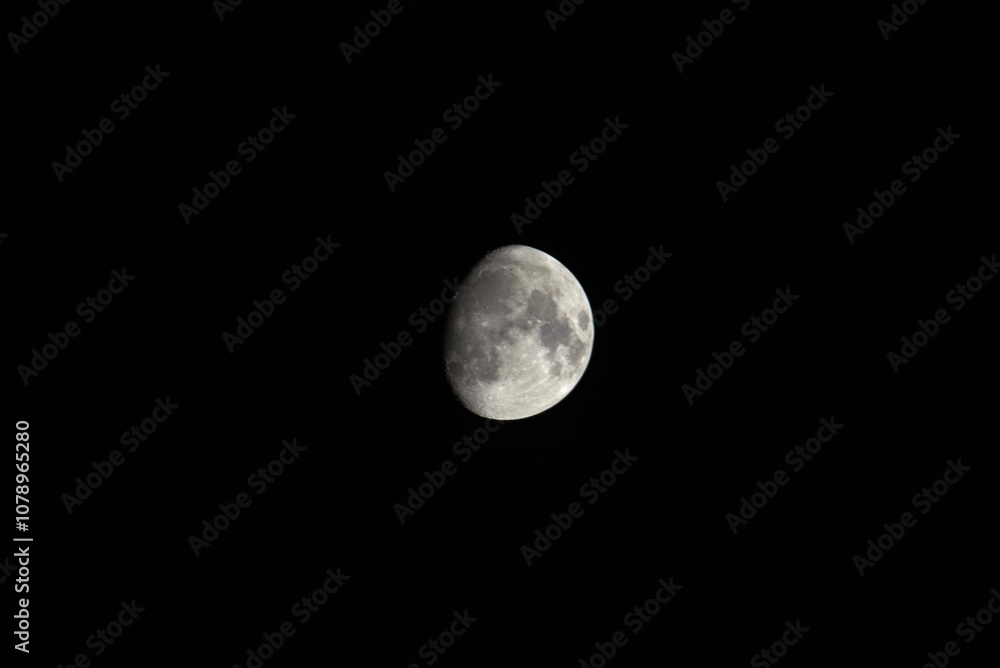 lune lune