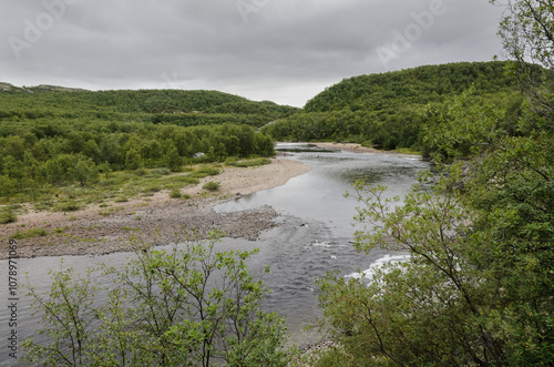 forest, taiga, recreation, tourism, river, fishing, trees, mushrooms, moss, pine needles, stuffed animals, wooden figures