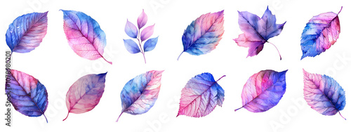 A vibrant blue and pink leaf with detailed veins and a soft gradient photo