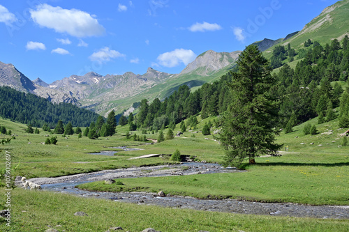 Alpes de Haute Provence, Parc du Mercantour