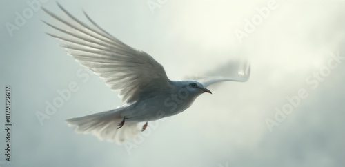 A white bird flying through the air with its wings spread