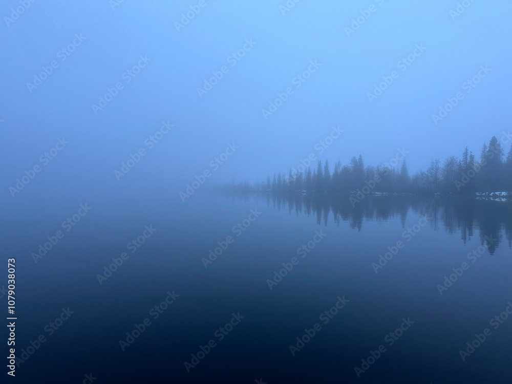 Fototapeta premium Foggy lake with trees