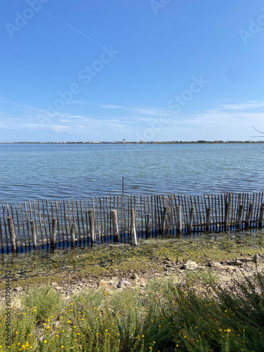 Lac du Méjean proche de Palavas, Occitanie photo