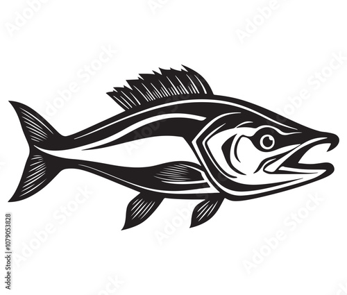 Sea cod fish on a white background, Tuna fish silhouette vector illustration, Sea fish silhouette icon