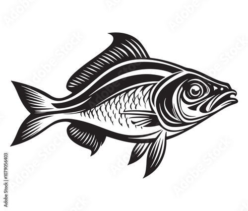 Sea cod fish on a white background, Tuna fish silhouette vector illustration, Sea fish silhouette icon