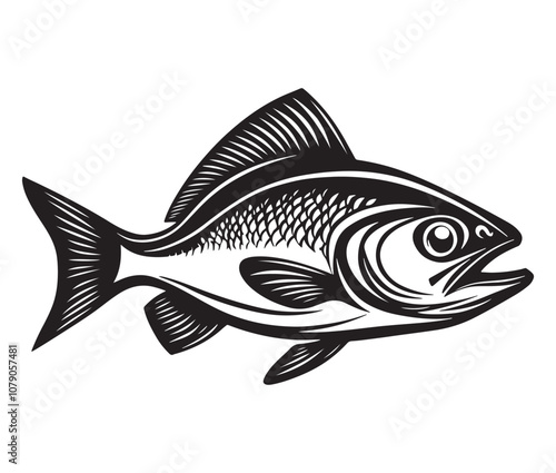 Sea cod fish on a white background, Tuna fish silhouette vector illustration, Sea fish silhouette icon