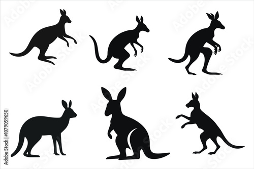 Kangaroo Silhouette Bundle Set on a White Background