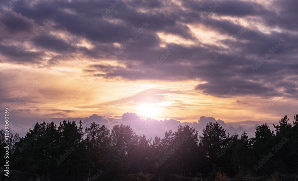 Silhouette of trees against the sky during sunset. Sunset among trees, night is coming. Sky with clouds. Low angle view of trees silhouetted against sky during sunset Silhouette of trees against the sky during sunset. Sunset among trees, night is coming. Sky with clouds. Low angle view of trees silhouetted against sky during sunset