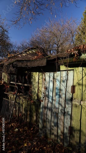 An Abandoned Shed Surrounded by Beautiful Autumn Leaves on the Ground in Natures Splendor