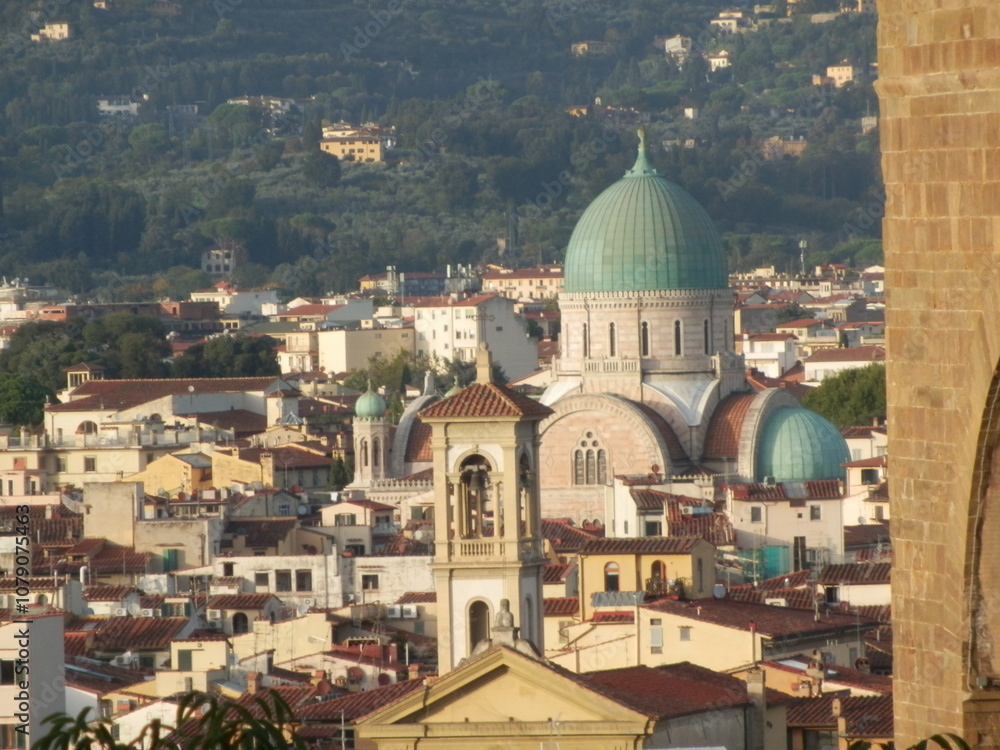 Obraz premium OLYMPUS DIGITAL CAMERA