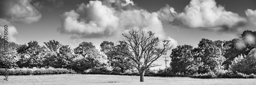 landscape in the morning