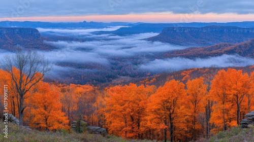 Obraz na płótnie Panoramic view of a valley covered in fog with colorful autumn leaves. w salonie