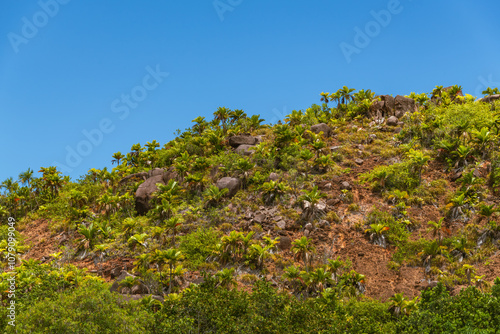 A Hill Close To Anse Lazio