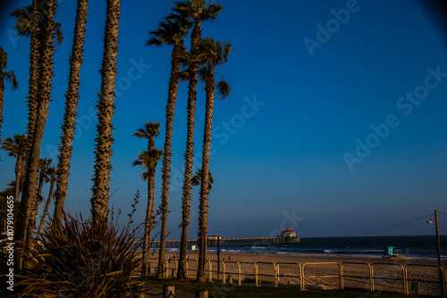 Palm Trees Overlooking Huntington Beach Pier