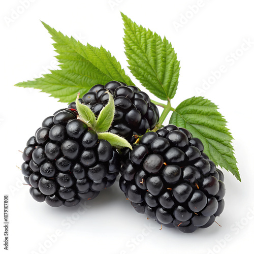 Blackberry isolated on white background