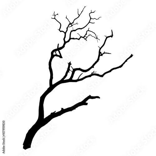 Simple Leafless Tree Branch Silhouette for Nature-Inspired Art and Design Projects