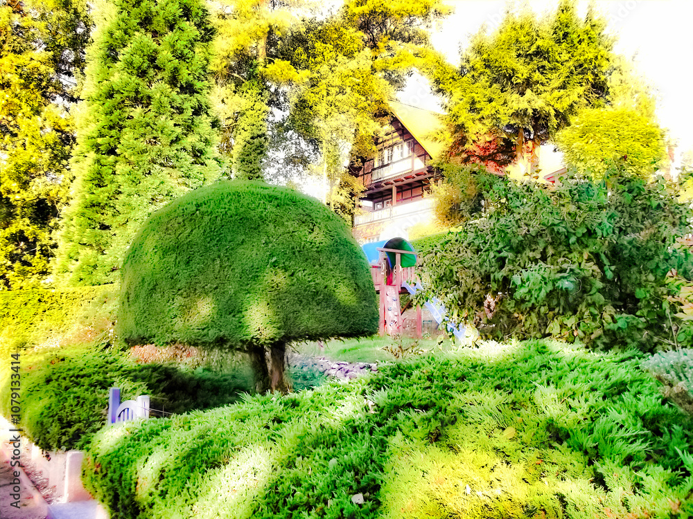 In Form geschnittener Lebensbaum im Garten