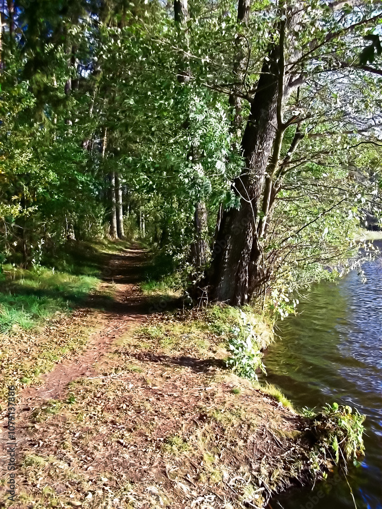 Der Uferweg im Herbst am Templiner Stadtsee