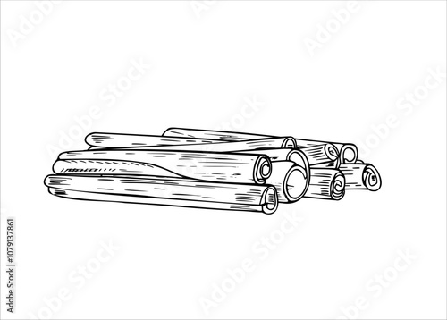 Vector cinnamon sticks pile vector isolated illustration in black and white colors. Seasoning ingredients monochrome illustration etching drawing. Template for winter sweet desserts, drink decor