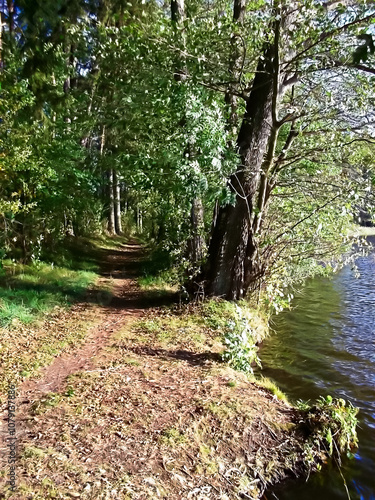 Obraz na płótnie Der Uferweg im Herbst am Templiner Stadtsee w salonie