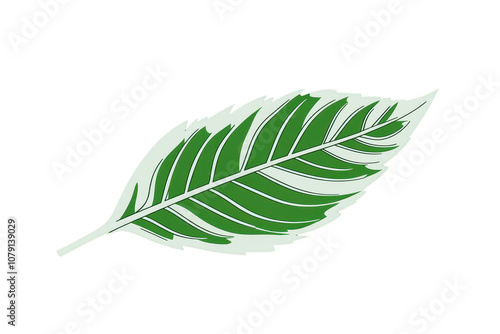 Elegant vector  of simplified green leaves on a clean  photo