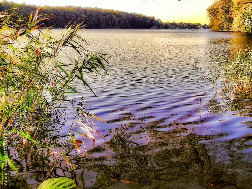 Ein See am Morgen im Herbst in der Uckermark