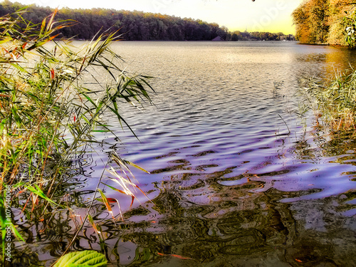Obraz na płótnie Ein See am Morgen im Herbst in der Uckermark w salonie