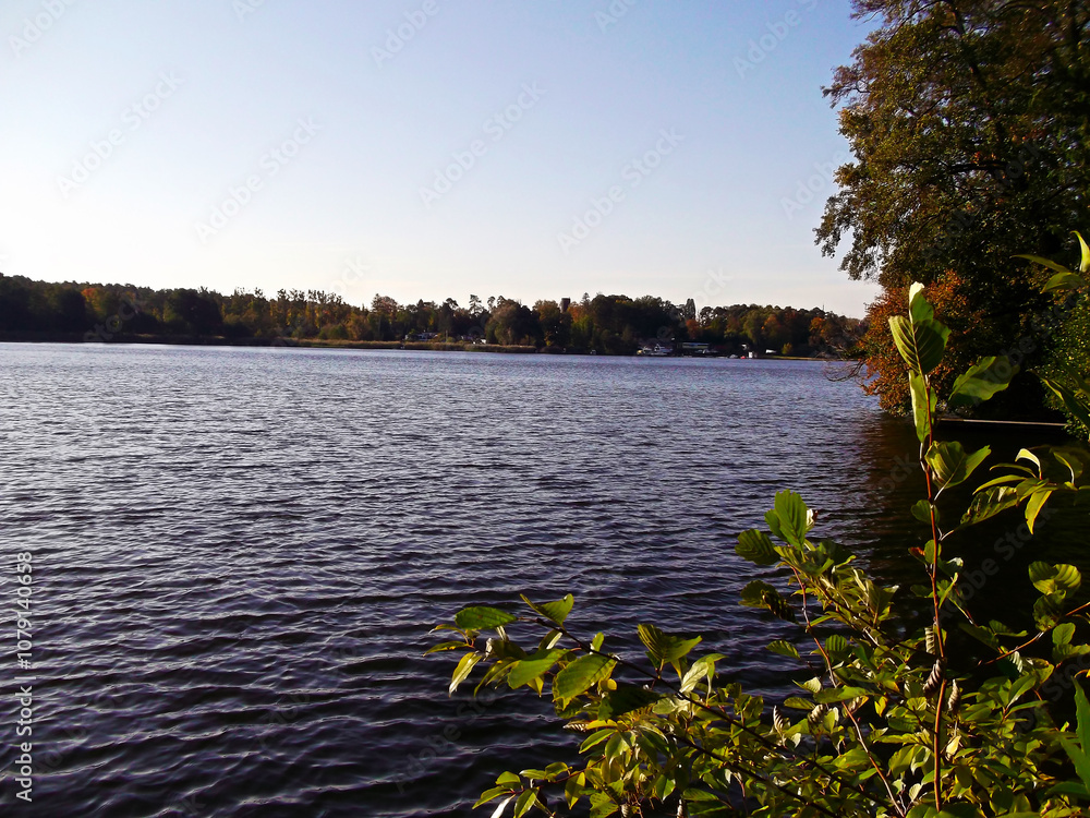 Ein See am Morgen im Herbst in der Uckermark