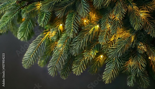 Thick branches of the Christmas tree are decorated with a golden garland.