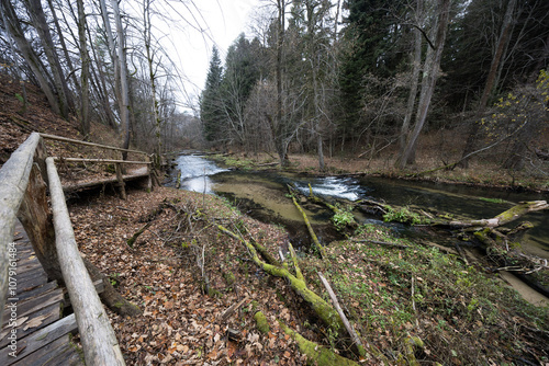 Nad Tanwia nature reserve - Roztocze, Poland. photo