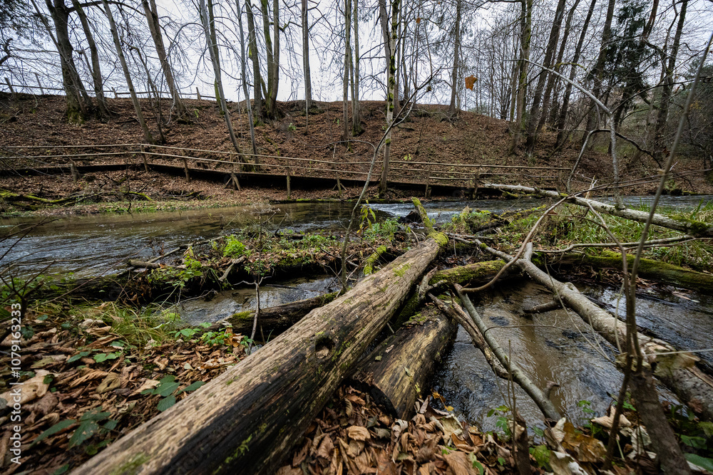 Nad Tanwia nature reserve - Roztocze, Poland. Nad Tanwia nature reserve - Roztocze, Poland.