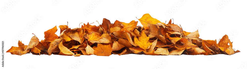Pile of autumn leaves, isolated on white background Pile of autumn leaves, isolated on white background