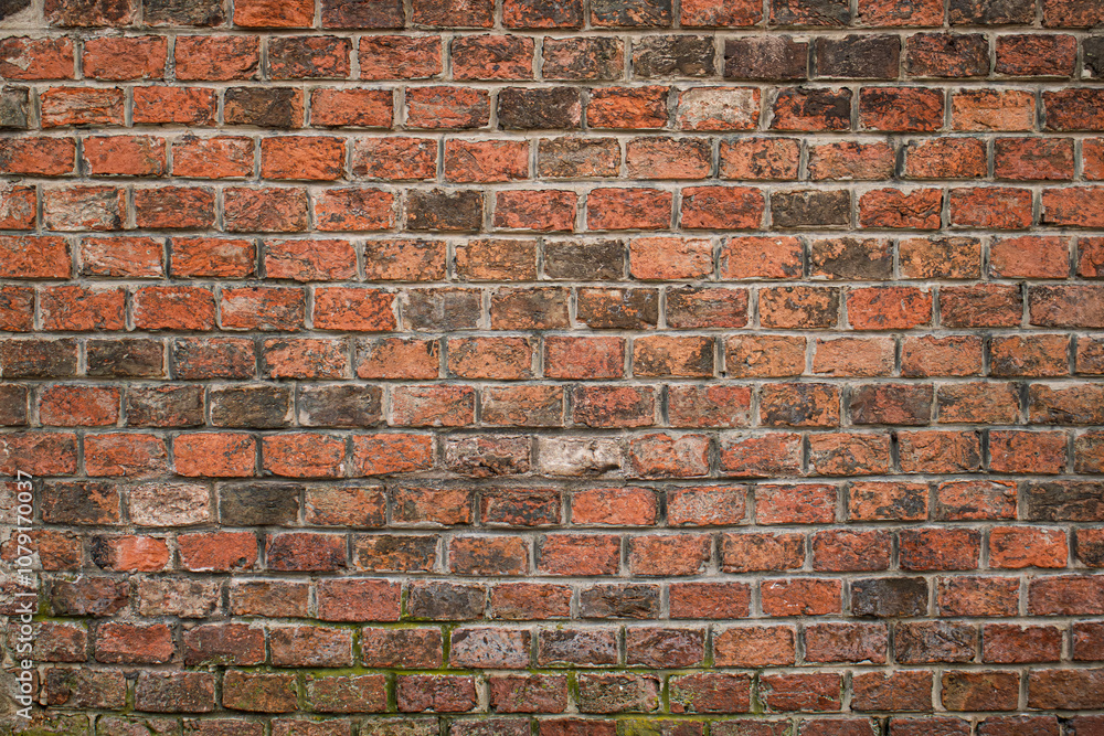 Fototapeta premium Close-up of weathered red brick wall with visible textures and irregularities.