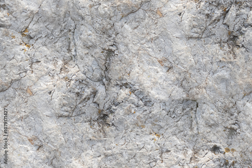 Fototapeta premium Seamless stone texture with natural cracks and rough surface details.