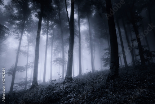 dark fantasy forest at nigh...