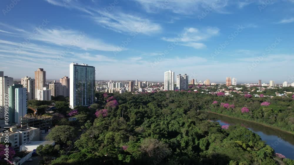 Vista Aérea da cidade de Maringá, Parana, Brasil. Ipês floridos na cidade de Maringá Vista Aérea da cidade de Maringá, Parana, Brasil. Ipês floridos na cidade de Maringá