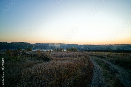 Dirt road through a field in the early morning