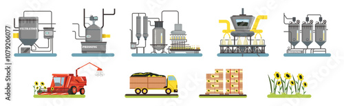 Sunflower Organic Oil Production Process Stage Vector Set