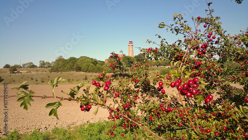 Sunny autumn day at Kap Arkona, Rügen photo