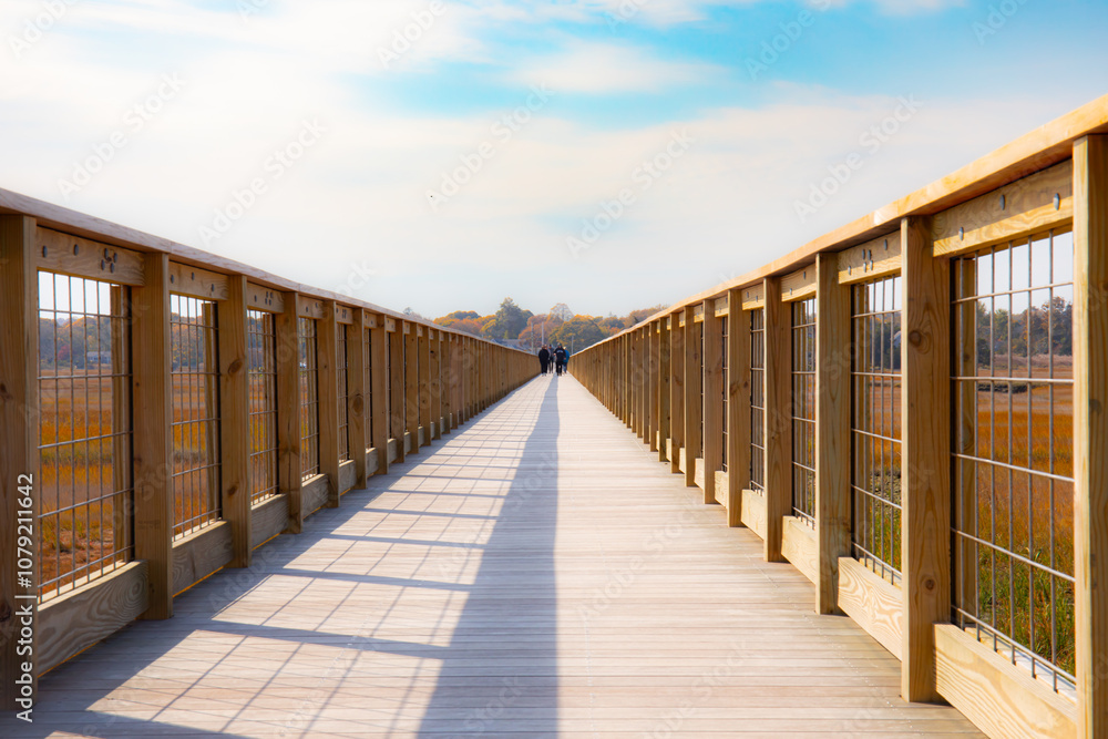 Obraz premium Sandwich Boardwalk over the marsh Town neck beach East Sandwich Massachusetts Fall 2024 