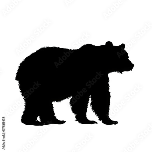 bear silhouette vector