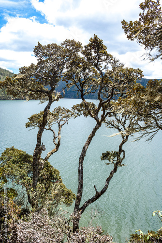 Emerald green mountain lake surrounded by trees in Potatso National Park, Shangri La, Yunnan, China, Asia photo