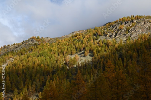 Vallée de la Clarée, Névache (05) photo