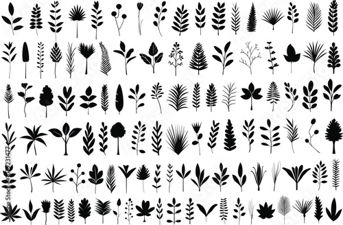 Plant silhouette vectors. Silhouettes of plants vector illustrations set.