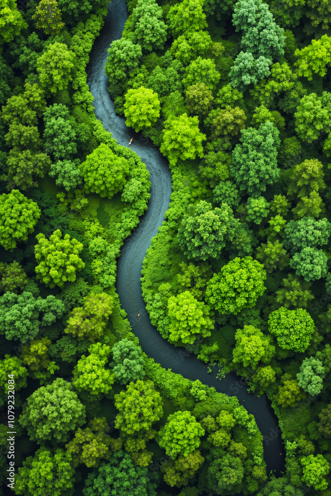 A river running through a lush green forest