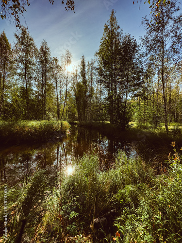 Wallpaper Mural Fabulous misty morning scene of nature on background. Stunning wild nature during sunrise. Amazing natural summer scenery Creative image for design. High quality photo Torontodigital.ca