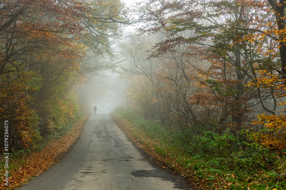 Fototapeta premium Silhouette of Solitary Person Walking alone Down Misty Road Through Autumn Forest