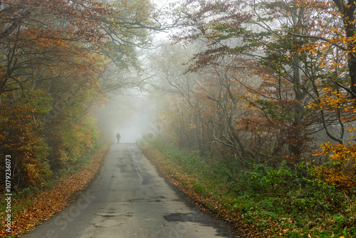 Silhouette of Solitary Person Walking alone Down Misty Road Through Autumn Forest