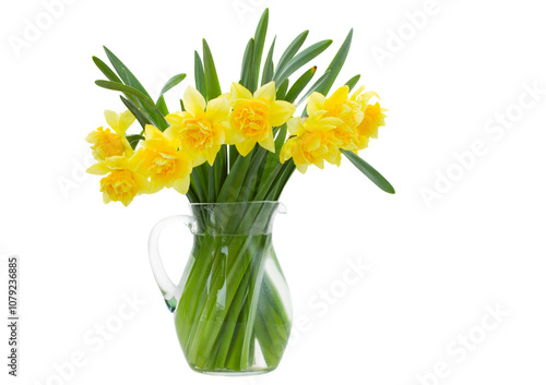 bunch of daffodils